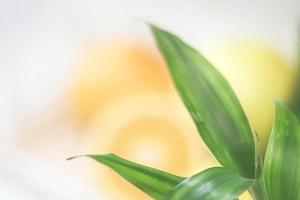 エクセルコダイヤモンド沖縄パルコシティ店の魅力と特徴