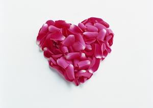 高学歴な会員が集まる青山の結婚相談所